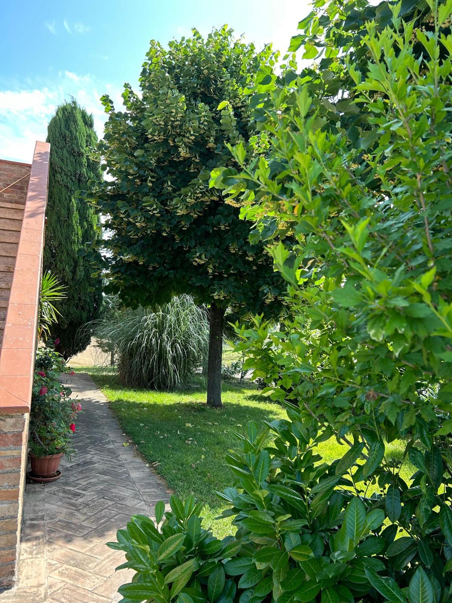 Agriturismo Casa Rossa Кьянчано-Терме Экстерьер фото