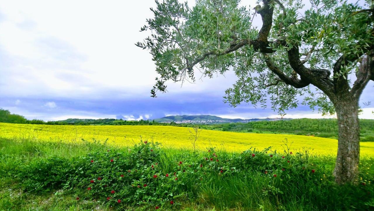 Agriturismo Casa Rossa Кьянчано-Терме Экстерьер фото
